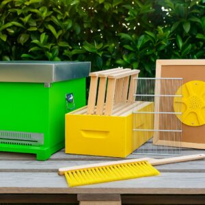 Kit Apiario - Apiary Activities